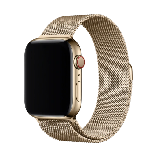 بند فلزی اپل واچ مدل Milanese Loop قیمت دیجی کالا ترب ارزان دیوار