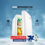 یخچال مسافرتی و کمپ